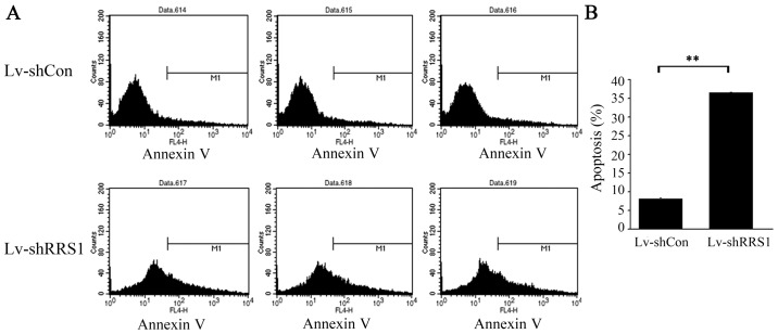 Figure 5.