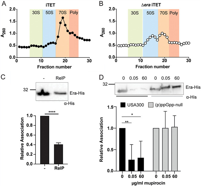 FIG 4