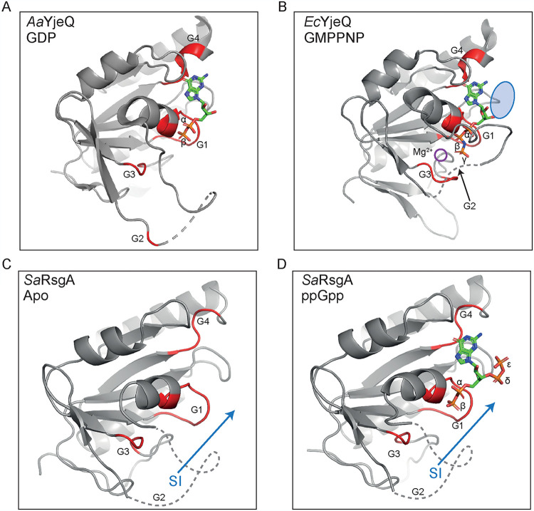 FIG 6