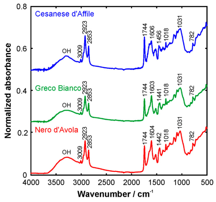 Figure 5