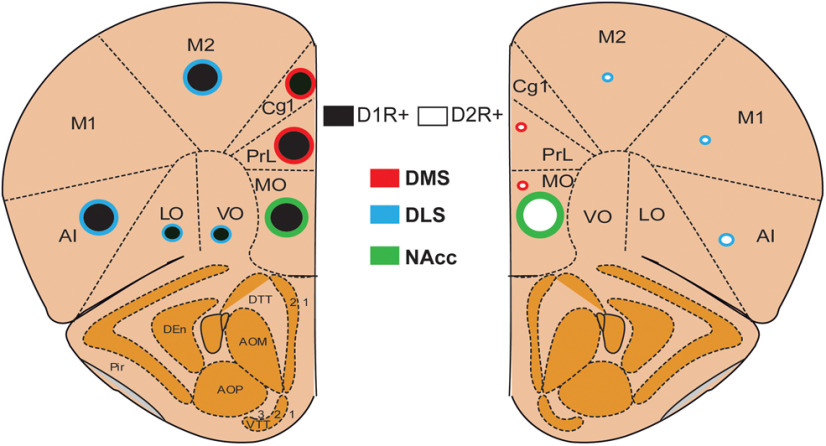 Figure 5.