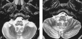 <sc>fig</sc> 4.