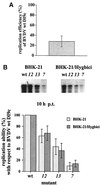 FIG. 5