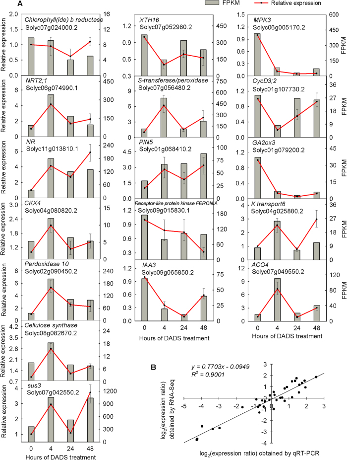 Figure 6