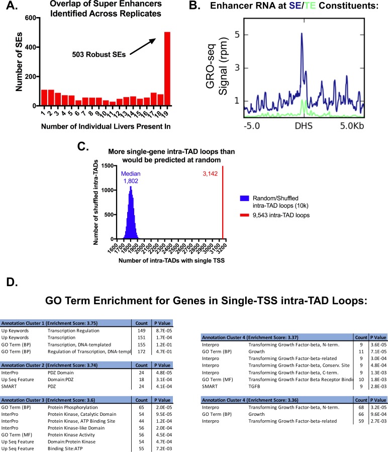 Figure 4—figure supplement 2.