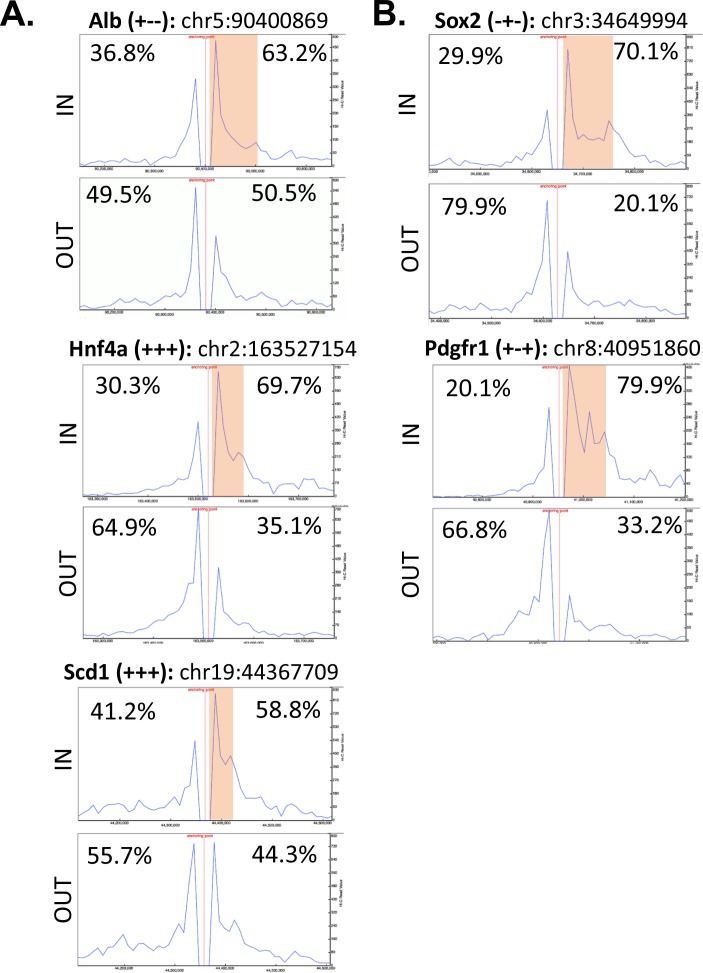 Figure 3—figure supplement 1.