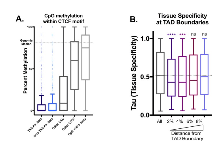 Figure 1—figure supplement 2.