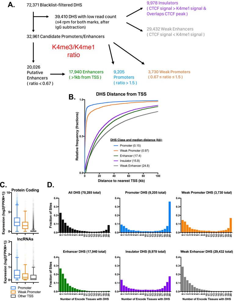 Figure 4—figure supplement 1.