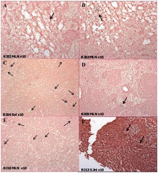 Figure 10