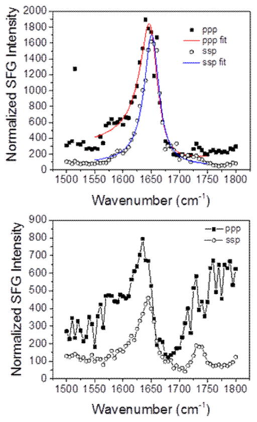 Fig. 12