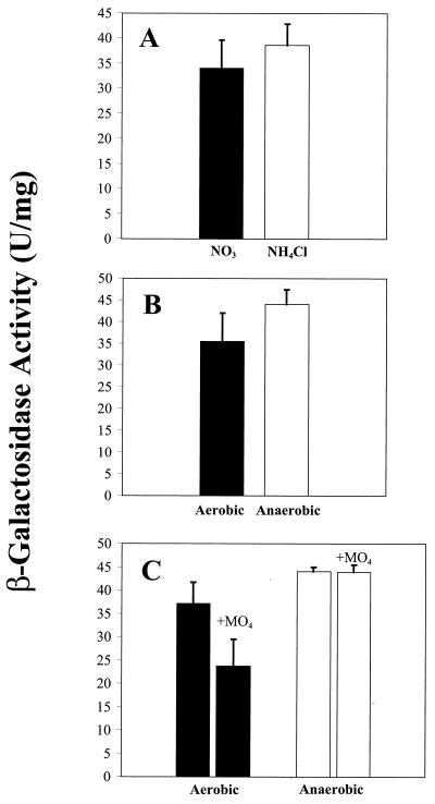 FIG. 6