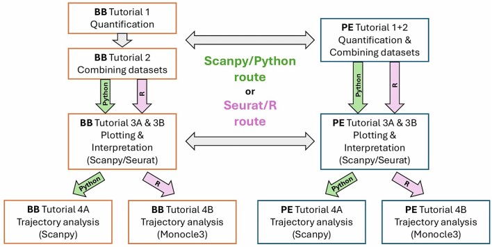 Figure 3: