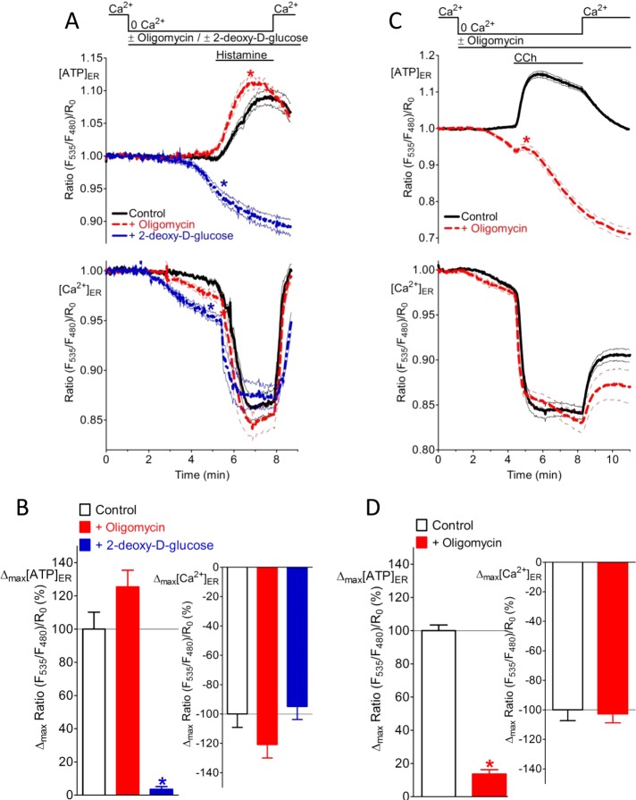 FIGURE 6: