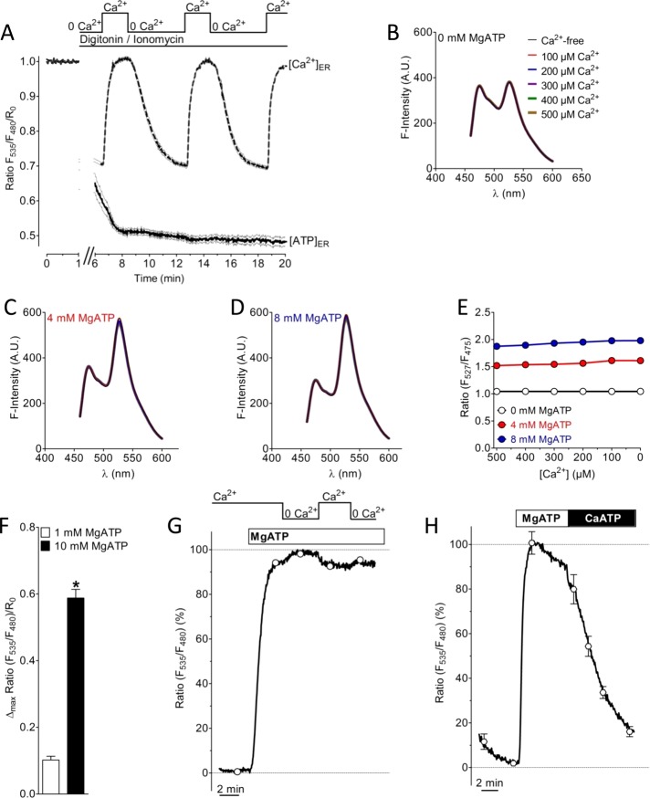 FIGURE 4: