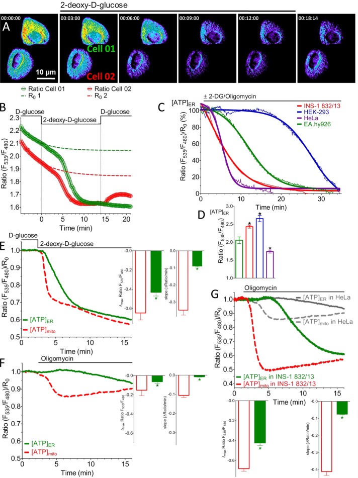 FIGURE 2: