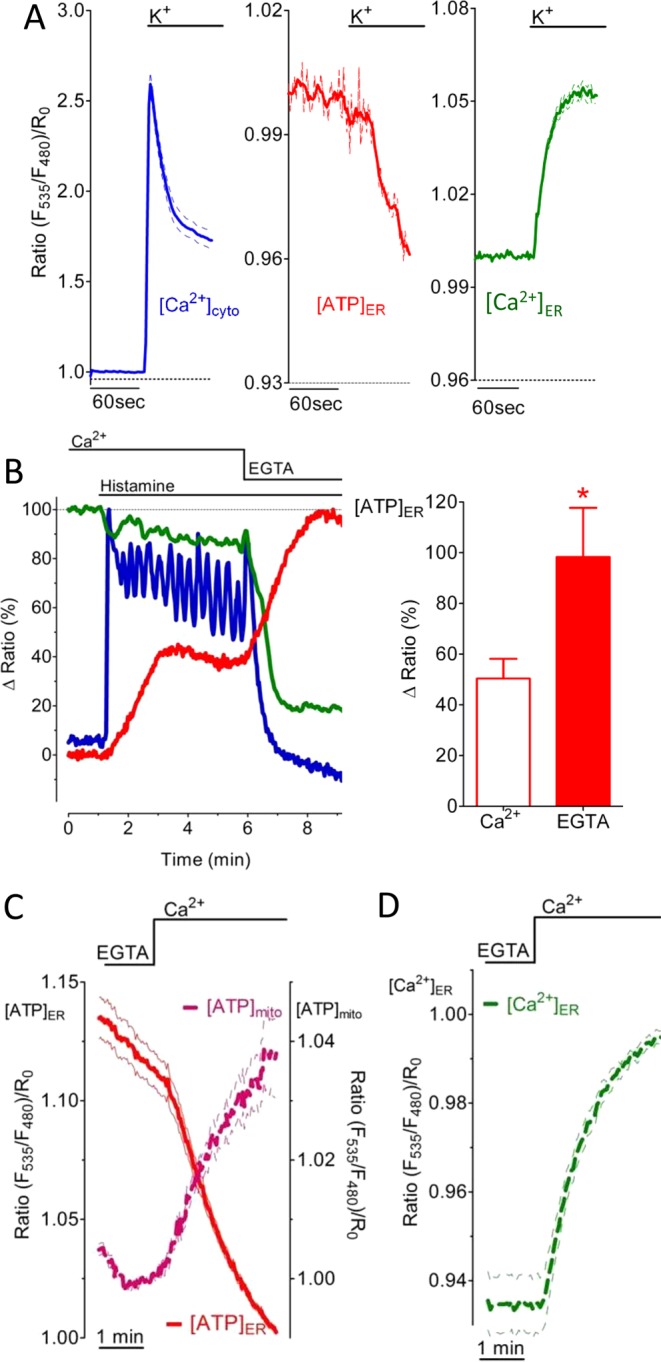 FIGURE 5: