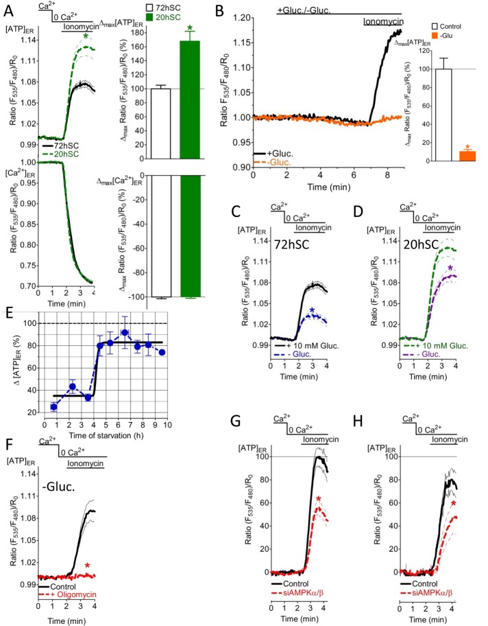 FIGURE 7: