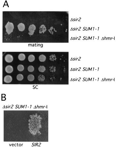 FIG. 5