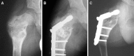 Fig. 10