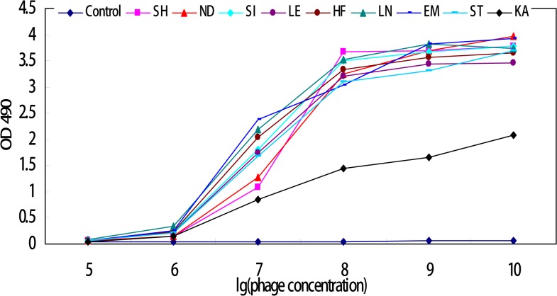 Fig 6