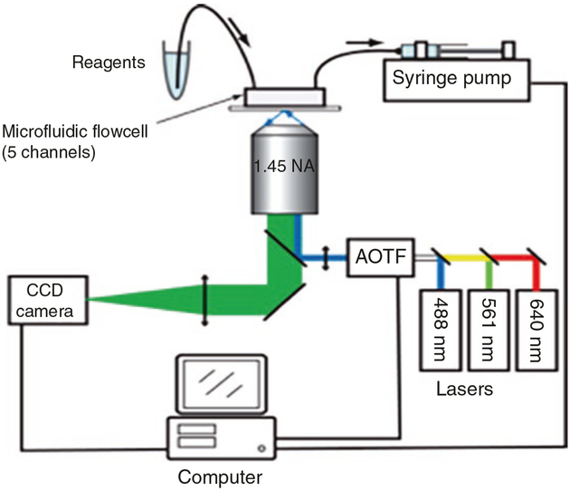 Fig. 4