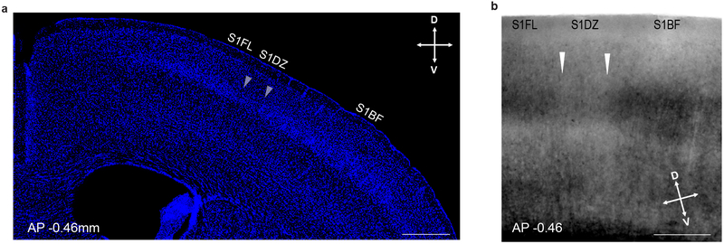 Extended Data Figure 5.