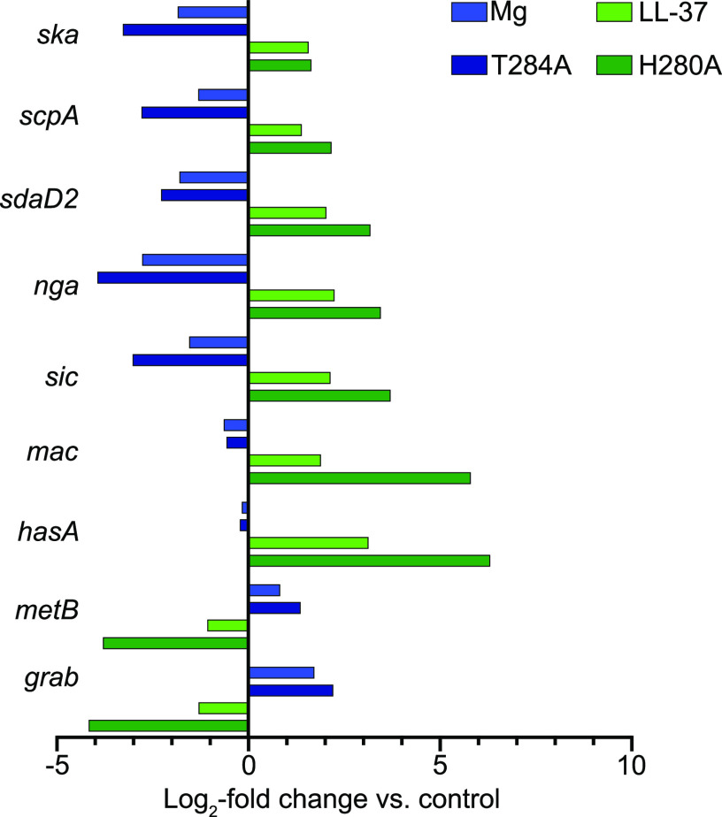 FIG 2