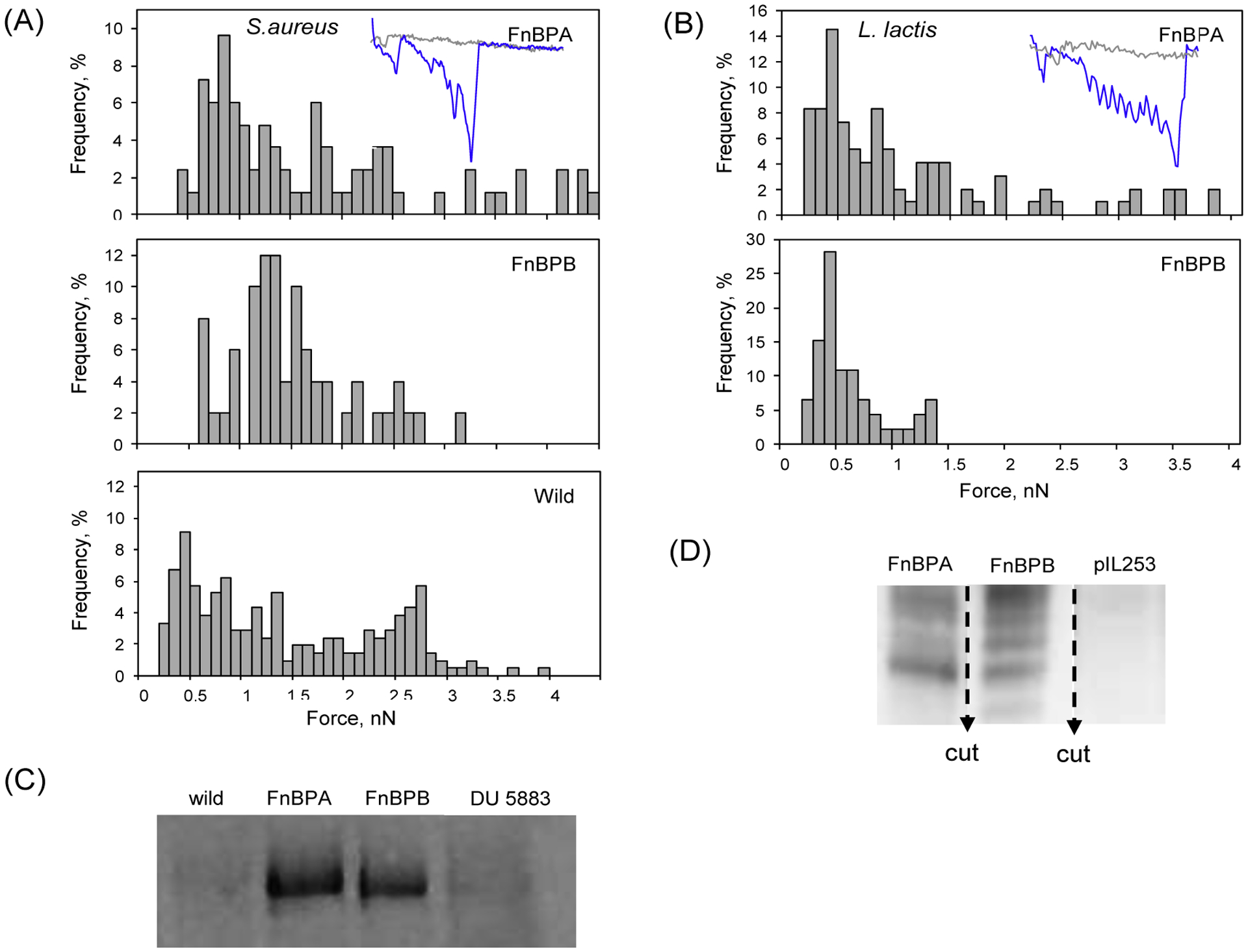 Figure 5.