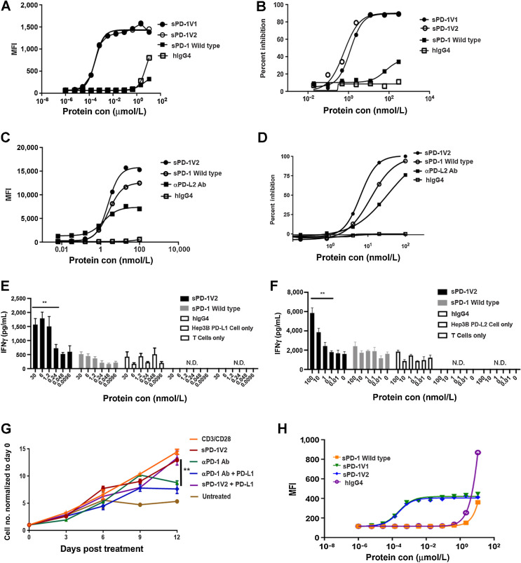 Figure 4. sPD-1 mutants demonstrated superior capability in blocking PD-L1– and PD-L2–mediated activities in a ligand-dependent manner without affecting T-cell viability. A, FACS-based binding analysis of wild-type PD-1, hIgG4, and sPD-1V1 and V2 to MC38 cells with human PD-L1 knock-in (MC38-hPD-L1). A–D are all presented as one of the two independent experiments shown here with individual points representing the mean of two technical repeats. B, Cell-based receptor-blocking assay showing inhibition of Hep3B-hPD-L1 binding to biotin conjugated PD-1 wild-type in competition with sPD-1 wild-type, hIgG4, and sPD-1 mutants. C, Binding of wild-type PD-1, αPD-L2 antibodies (Ab), hIgG4, and sPD-1V2 to MC38-hPD-L2. D, Cell-based receptor-blocking assay showing inhibition of Hep3B-hPD-L2 binding to biotin conjugated PD-1 wild-type in competition with sPD-1 wild-type, αPD-L2 antibody, hIgG4, and sPD-1V2. E, T-cell activation in the presence of Hep3B-hPD-L1 cells when incubated with sPD-1V2, sPD-1 wild-type, hIgG4 control, Hep3B-PD-L1 cell only, and T cell only control. IFNγ levels measured as a marker of T-cell activation. Error bars represent the mean and SD of technical triplicate. Experiment was conducted twice with PBMCs isolated from different donors. F, T-cell activation in the presence of Hep3B-hPD-L2 cells upon incubation with sPD-1V2, sPD-1 wild-type, and hIgG4, Hep3B-PD-L2 cell only and T cell only control. T-cell activity is measured by IFNγ level. Error bars represent the mean and SD of technical triplicate. Experiment was conducted twice independently with PBMC isolated from different donors. G, T-cell proliferation over-time in the presence of sPD-1V2 and αPD-1 antibody with or without hPD-L1 added. H, Binding kinetics between sPD-1V2 and mouse PD-L1 in MC38 parental cells. Each data point represents the mean and SD of technical duplicate. Experiment was repeated with T cells isolated from a second donor. Statistical analysis was conducted with one-way ANOVA for comparing between treatment groups and repeated ANOVA for changes over time. *, P < 0.05; **, P < 0.01.