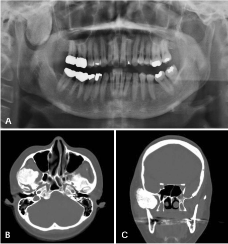 Fig. 8