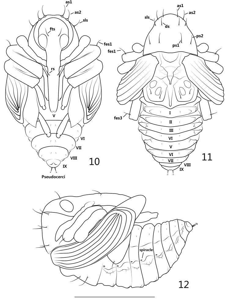 Figures 10–12.