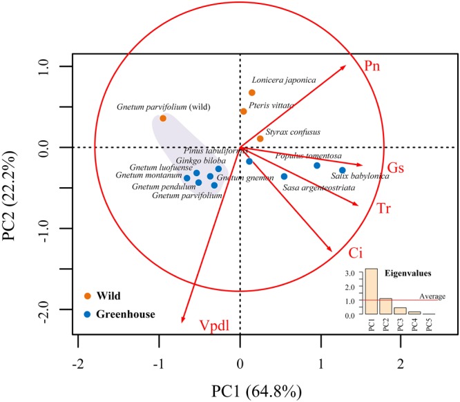 FIGURE 4