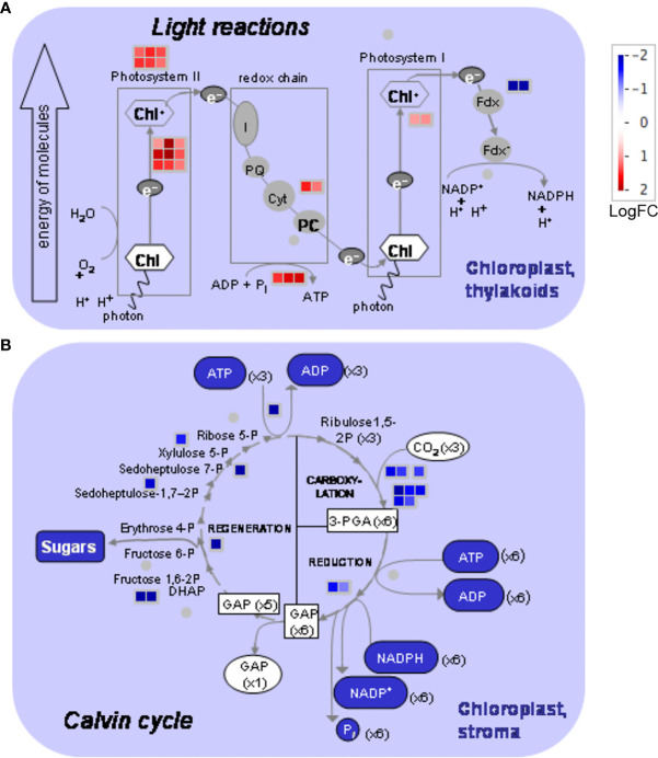 Figure 5