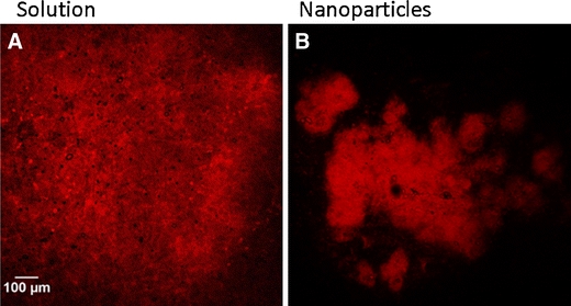 Fig. 7