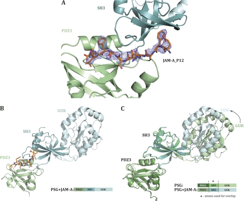 FIGURE 2.