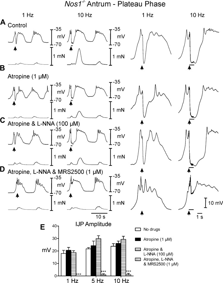 Fig. 5.