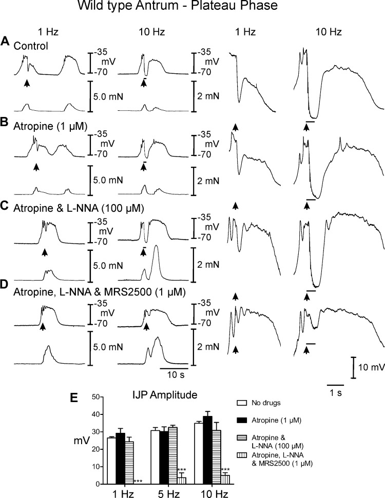 Fig. 3.