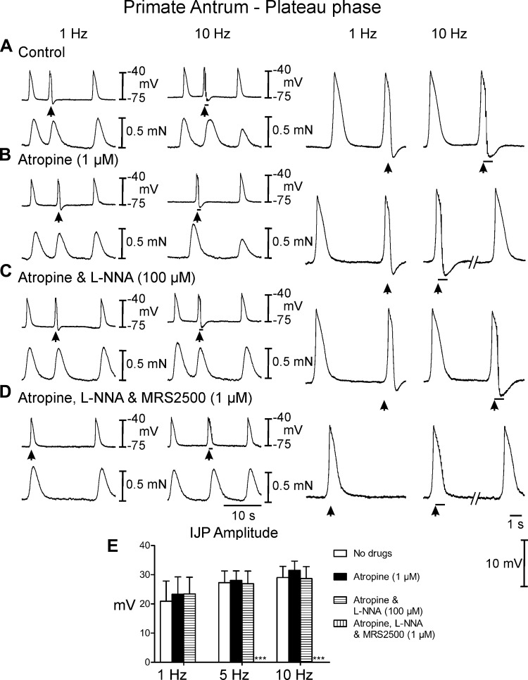 Fig. 9.