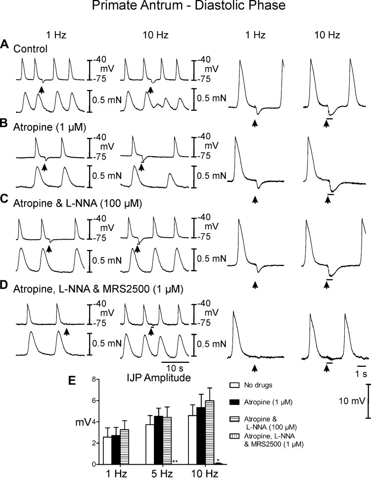 Fig. 8.