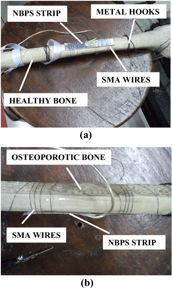 Fig. 2