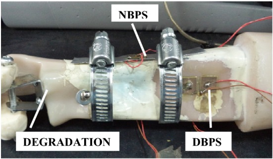 Fig. 1