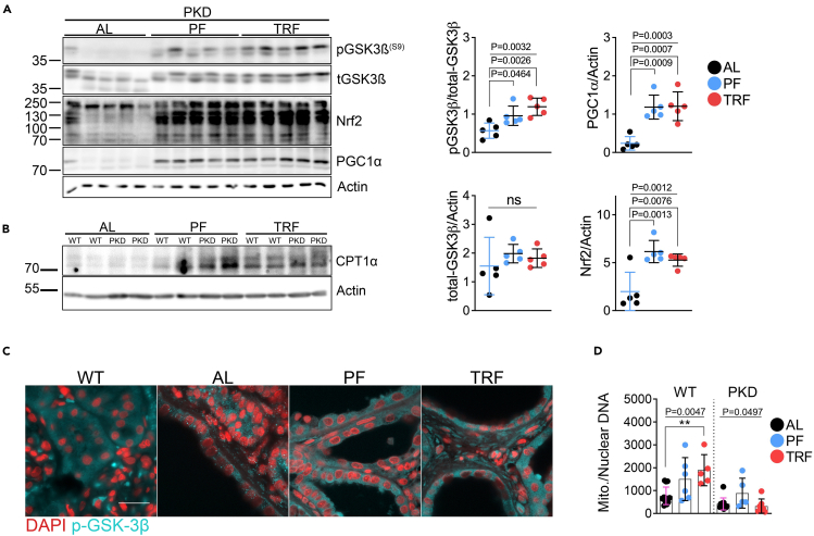 Figure 3