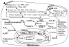 Figure 1.2
