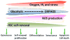 Figure 1.7