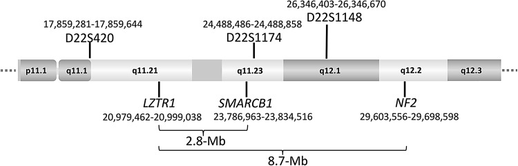 Fig. 2