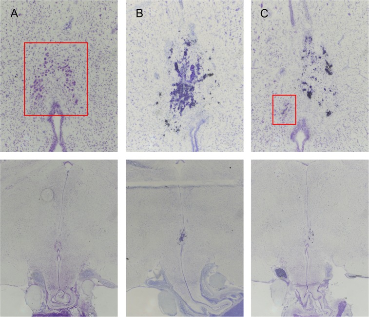 Fig 1