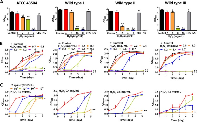 FIG 2