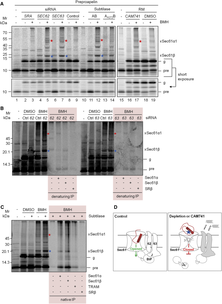 Figure 6