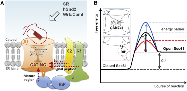 Figure 7