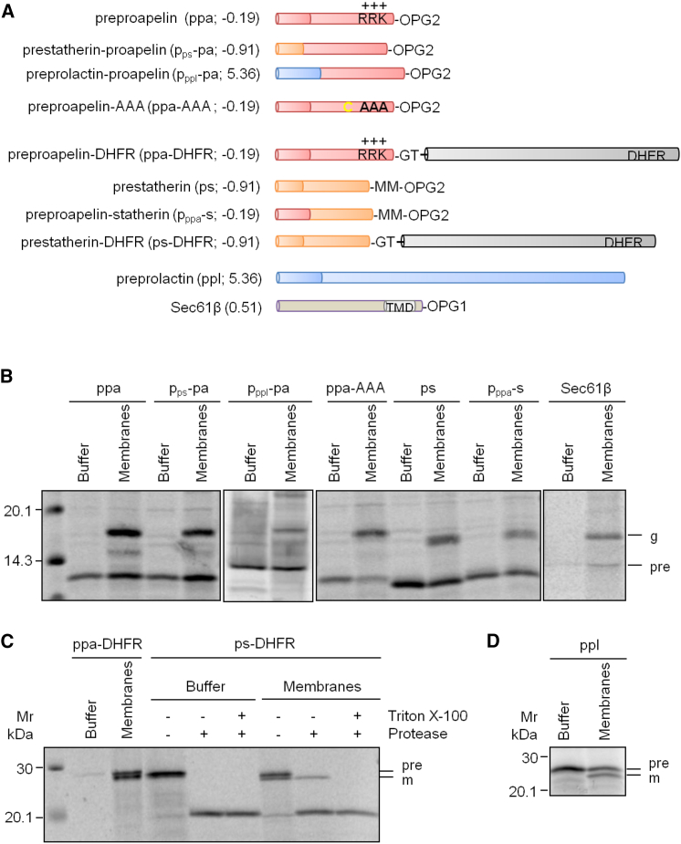 Figure 1